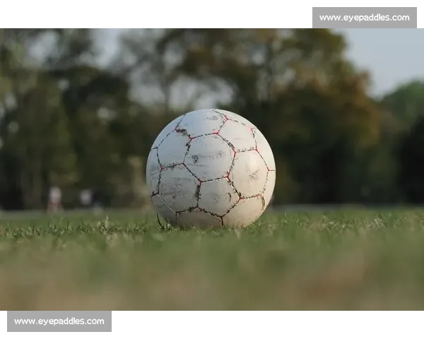 高清稳定流畅的足球直播APP下载安装到手机即看全球赛事精彩 - 副本 (10) - 副本